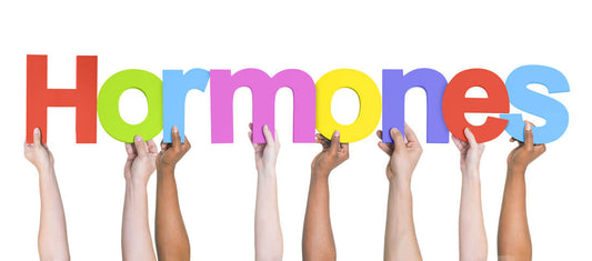 Hands holding up letters to spell "Hormones"