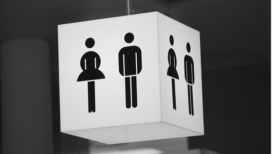Hover or Cover? Public Restrooms – Should You be Concerned?