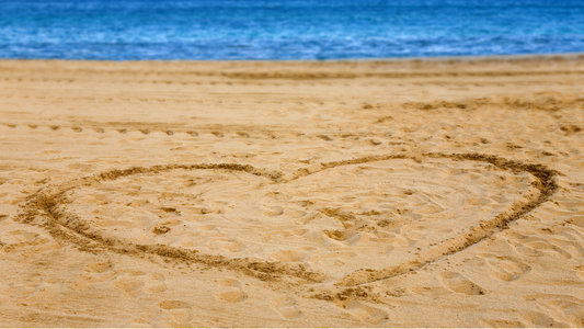 Postmenopausal Estrogen Levels May Predict Heart Disease