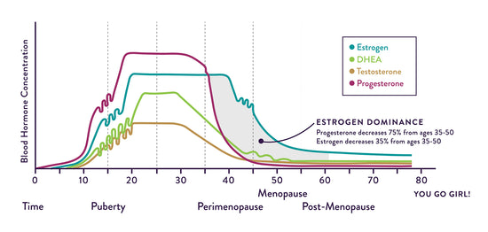 Chart graphing hormones levels as womon age from birth to Post-Menopause. Displays an increase during puberty and decrease between ages 30-55, depending on the hormone. 