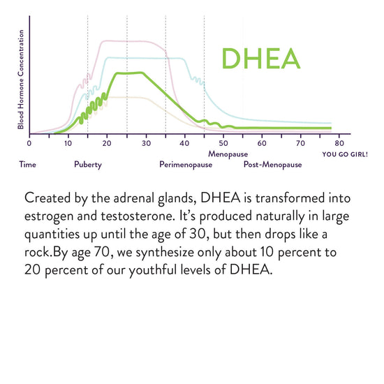 Created by the adrenal glands, DHEA is transformed into estrogen and testosterone. It's produced naturally in large quantities up until the age of 30, but then drops like a rock. By age 70, we synthesize only about 10 to 20 percent of our youthful levels of DHEA. Chart shows an increase between ages 10 and 22 and decrease after age 30.