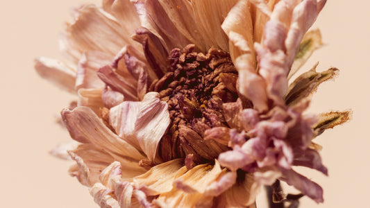 The Truth About Vaginal Aging: What Every Woman Over 40 Should Know