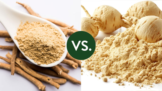 Adaptogens 101: How Maca Helps You Handle Stress