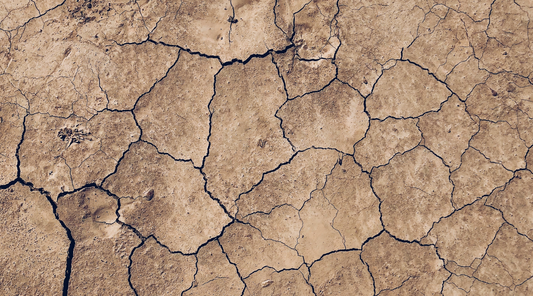 Dry earth with cracks