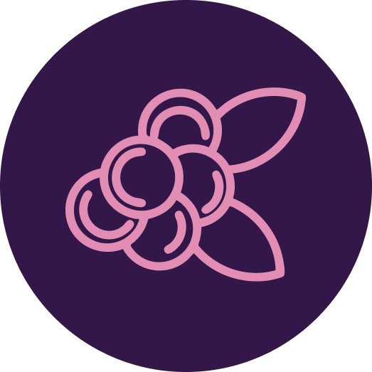 Pink outline of a berry on a purple background