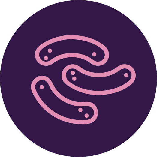 Pink icon of three curved lines on a purple circle