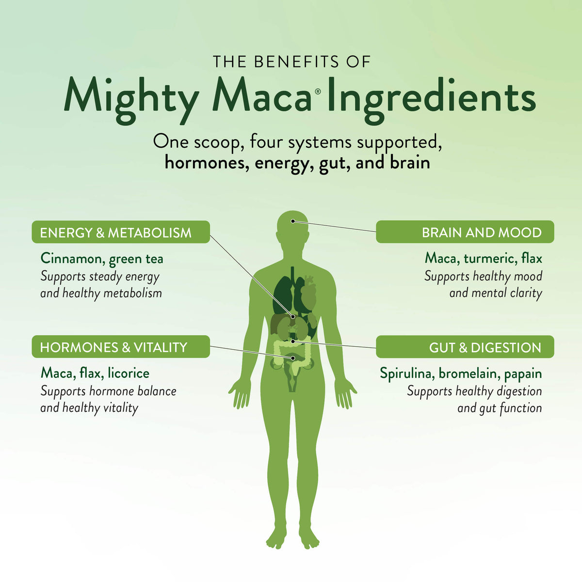 Mighty Maca® Plus Superfood Drink Mix for Hot Flashes & Energy Support