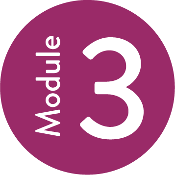 Module 3