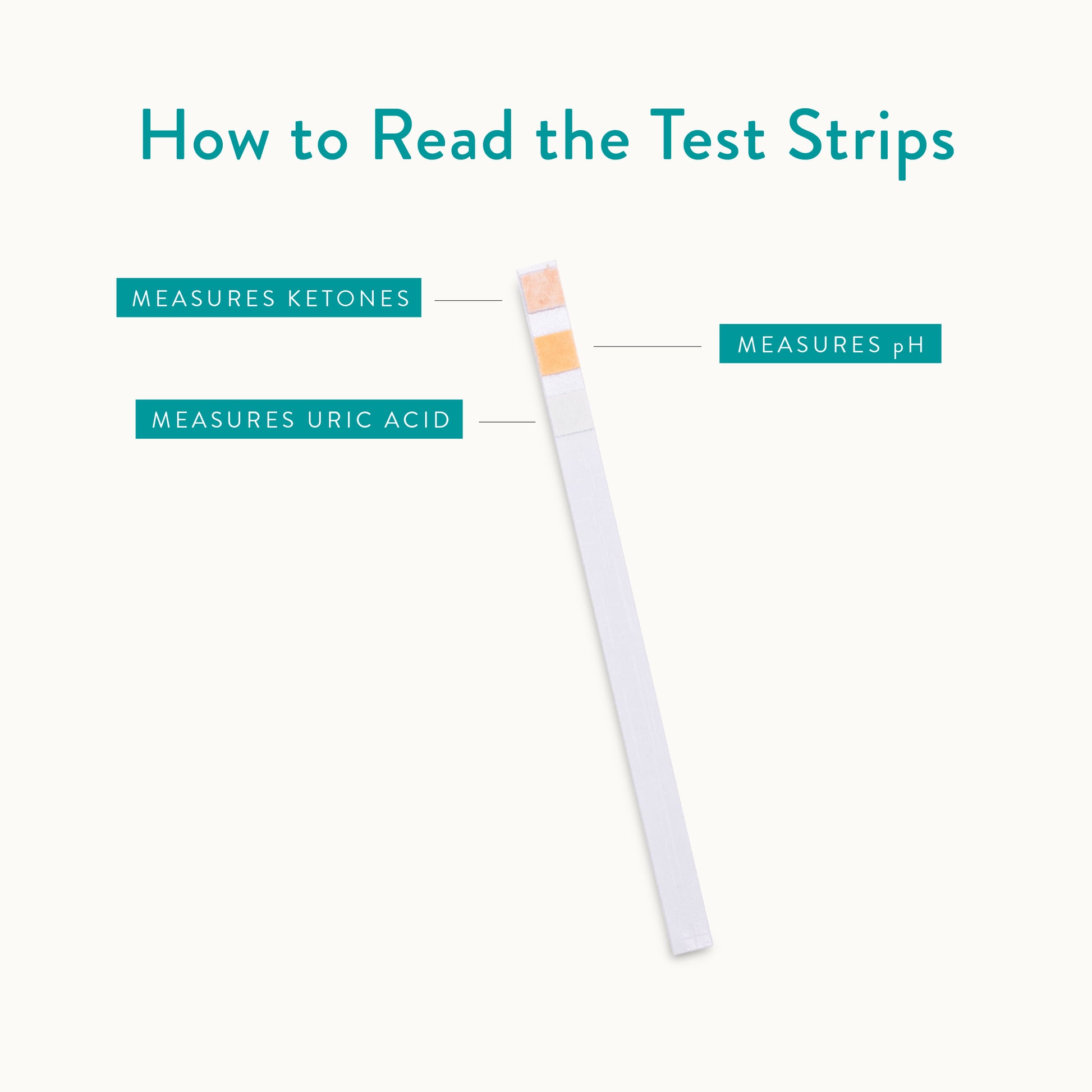 How to read the test strips