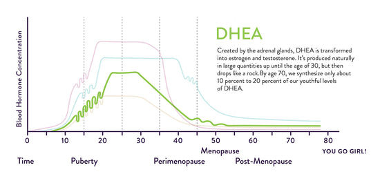 Created by the adrenal glands, DHEA is transformed into estrogen and testosterone. It's produced naturally in large quantities up until the age of 30, but then drops like a rock. By age 70, we synthesize only about 10 to 20 percent of our youthful levels of DHEA. Chart shows an increase between ages 10 and 22 and decrease after age 30.