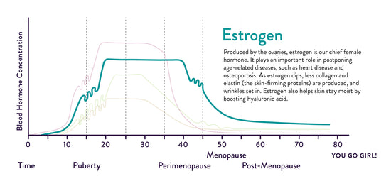 Produced by the ovaries, estrogen is our chief female hormone. It plays an important role in postponing age-related diseases, such as heart disease and osteoporosis. As estrogen dips, less collagen and elastin (the skin-firming proteins) are produced, and wrinkles set in. Estrogen also helps skin stay moist by boosting hyaluronic acid. Chart show increases between age 10 and 18 and decrease after age 40.