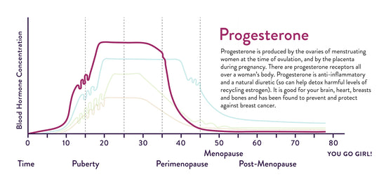 Progesterone is produced by the ovaries of menstruating women at the time of ovulation, and by the placenta during pregnancy. There are progesterone receptors all over a woman's body. Progesterone is anti-inflammatory and a natural diuretic (so can help detox harmful levels of recycling estrogen). It is good for your brain, heart, breasts and bones and has been found to prevent and protect against breast cancer. Chart shows an increase between ages 10 and 20 and a decrease after age 35.