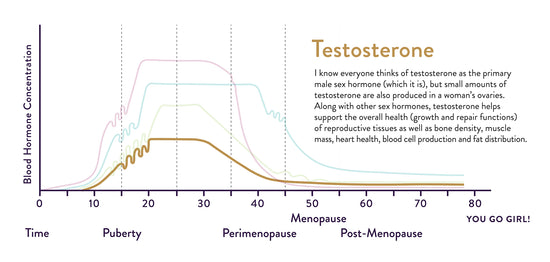 I know everyone thinks of testosterone as the primary male sex hormone (which it is), but small amounts of testosterone are also produced in a woman's ovaries. Along with other sex hormones, testosterone helps support the overall health (growth and repair functions) of reproductive tissues as well as bone density, muscle mass, heart health, blood cell production and fat distribution. Chart shows an increase between ages 10 and 20 and a decrease after age 30.