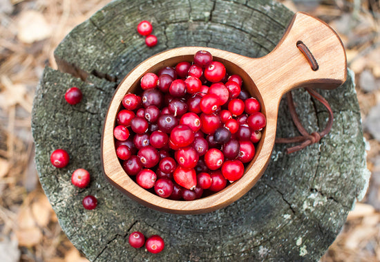 Image of Cranberry PACs (Proanthocyanidins)