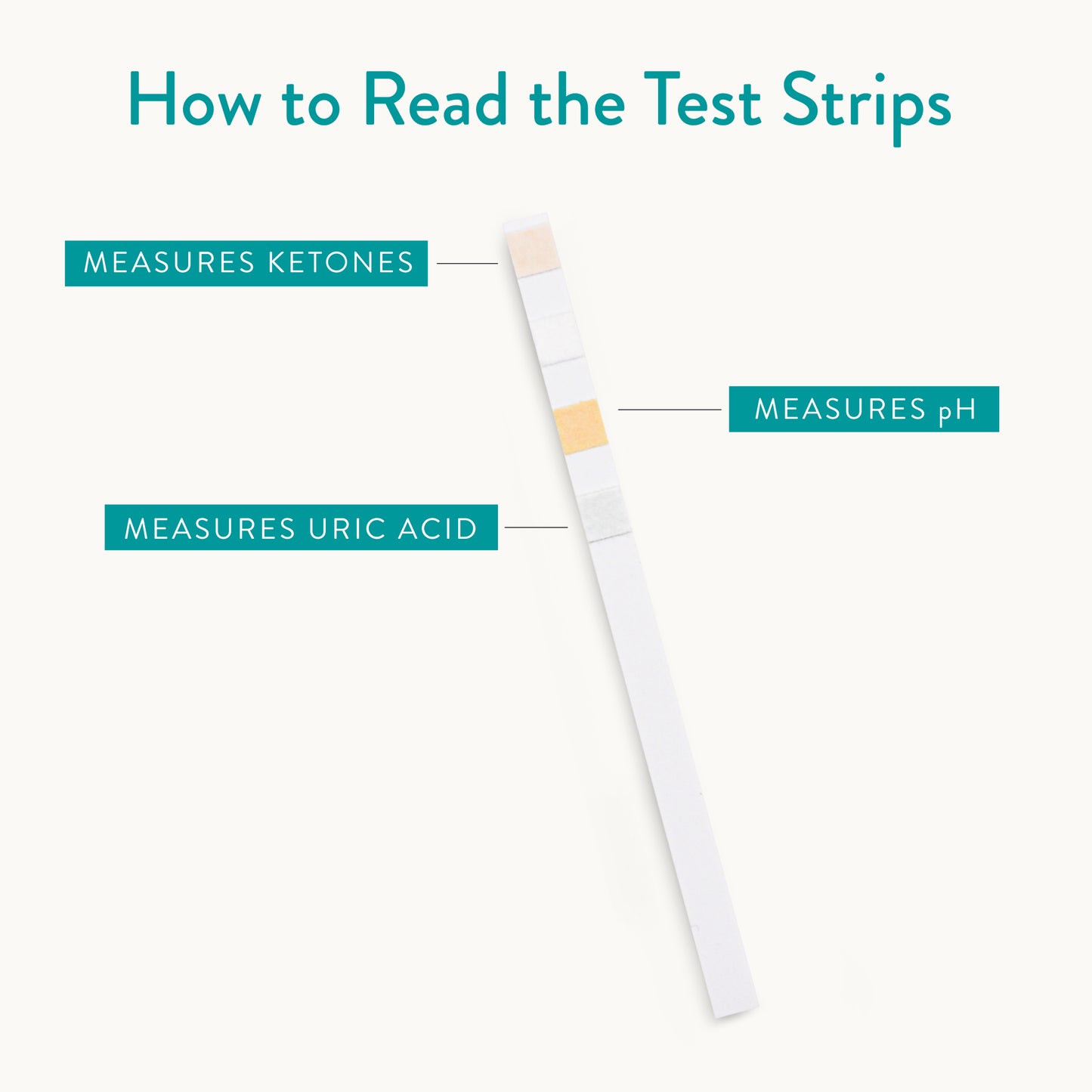 How to read the test strips. Top segment measures ketones, 3rd segment measures pH, bottom segment measures uric acid