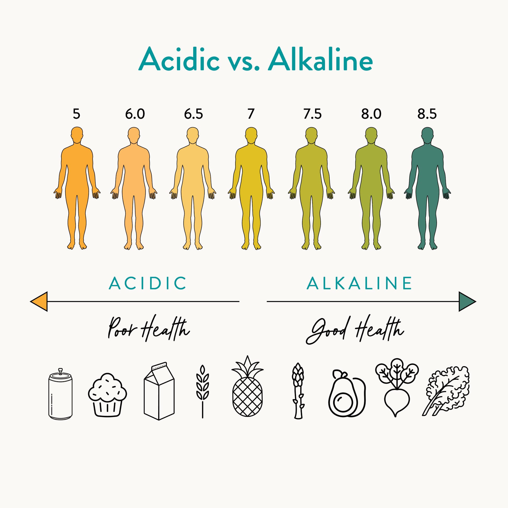 Acid vs. Alkaline chart with examples of foods that increase or decrease alkalinity in the body.